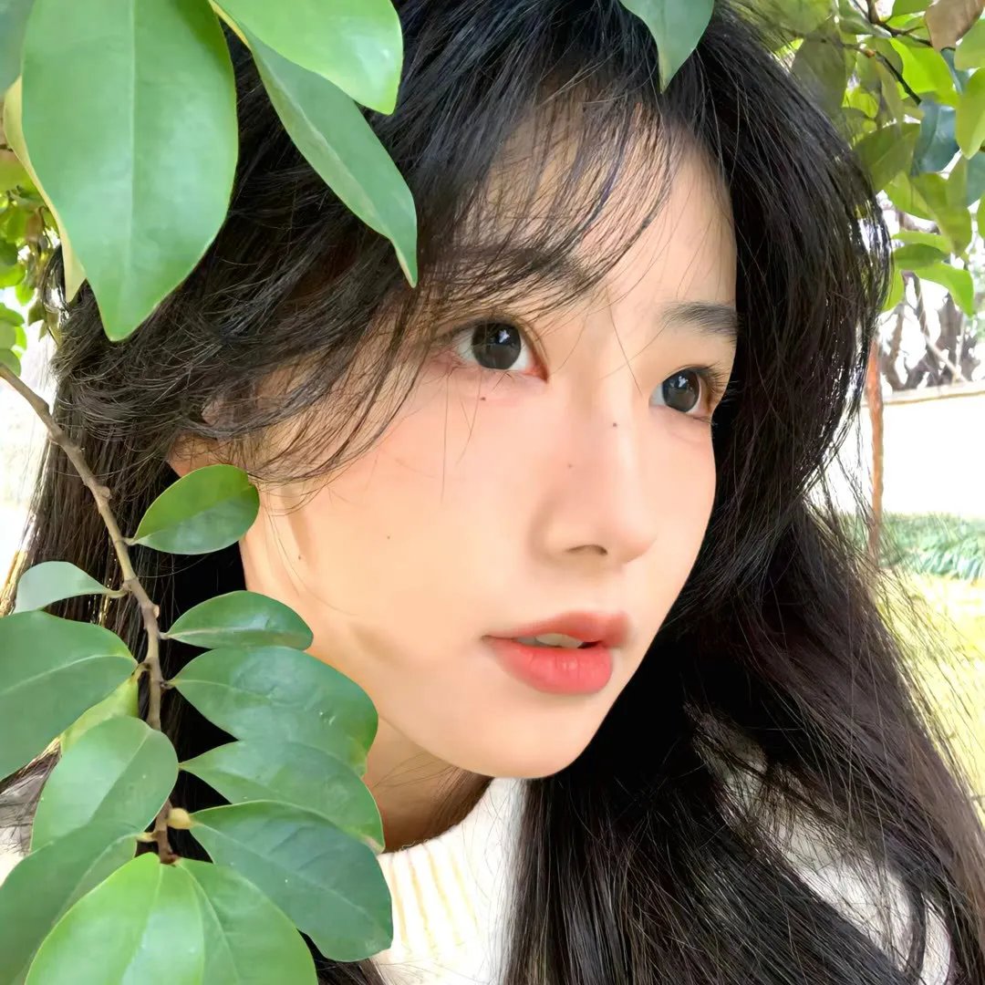 云中行走