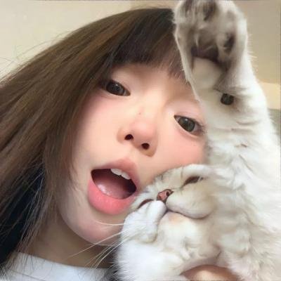 申社长计划